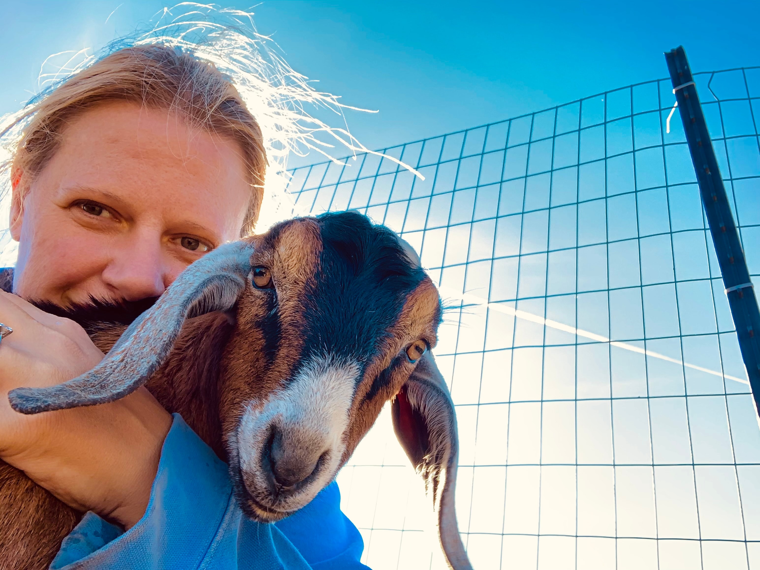 Farm animal rescue at Blue Iris Farm, Lebanon CT