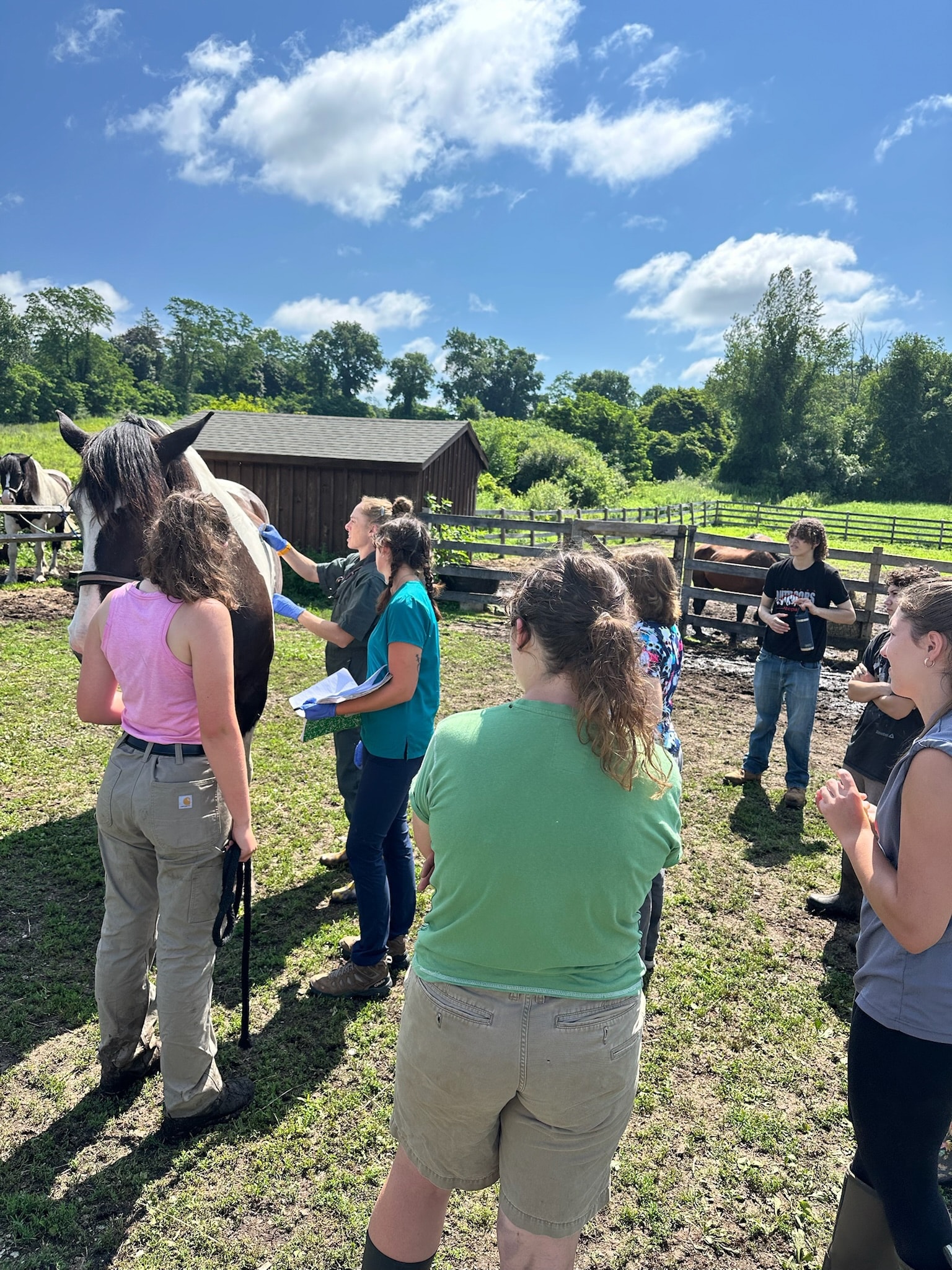 Internship program at Blue Iris Farm