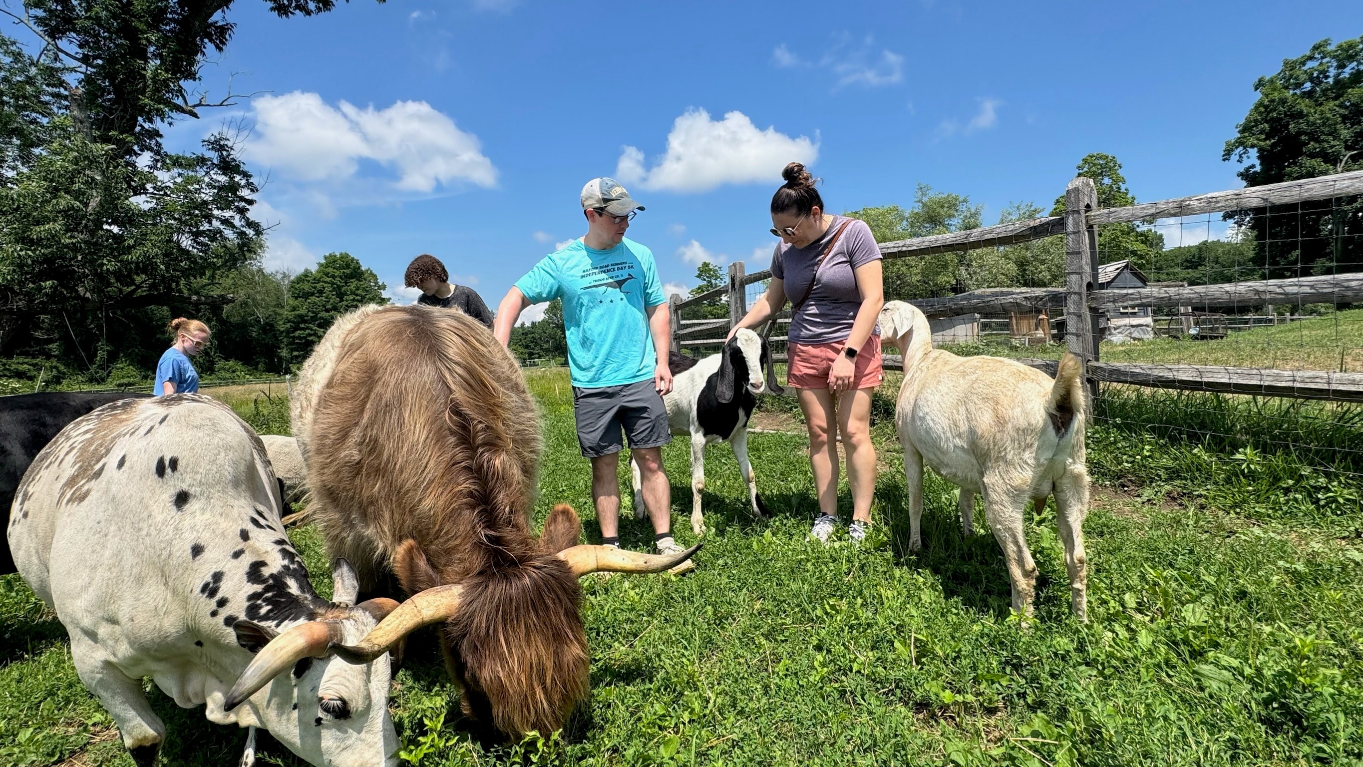 Walk with the Herd