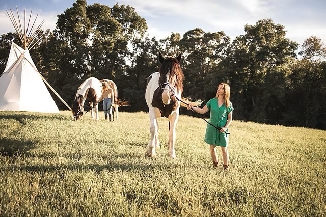 Woman leading a horse near the teepee camp