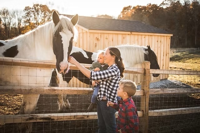 Children petting horses at the farm fence
